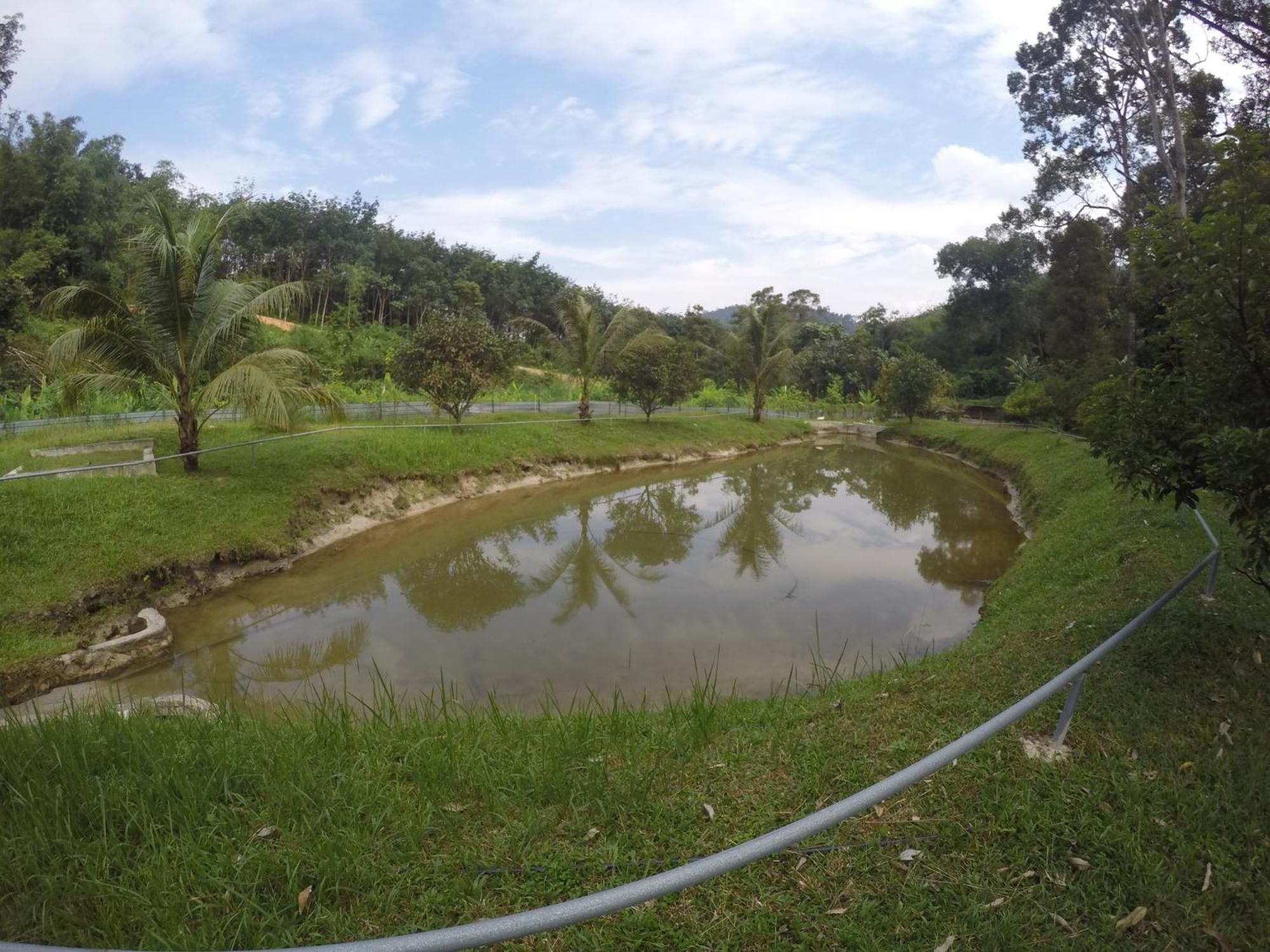 Santai De Lui Resorts Kampong Masjid  Esterno foto